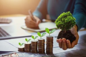 Image of stacks of coins with plant shoots growing out of them while a person works at a desk in the background, this is to represent cost saving and sustainability